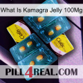 What Is Kamagra Jelly 100Mg cialis5